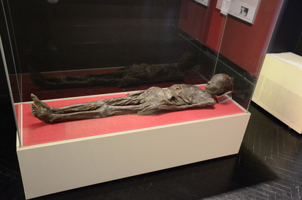 Mummy of Nesi-hensu
