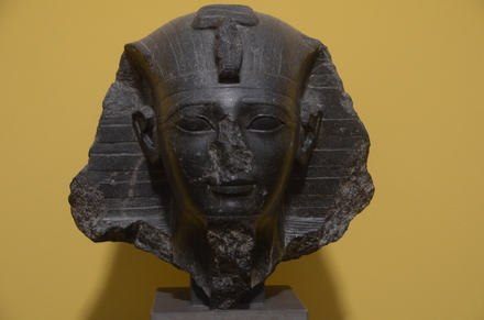 Head of Amenhotep II