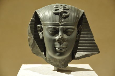 Sais, Head of Amasis