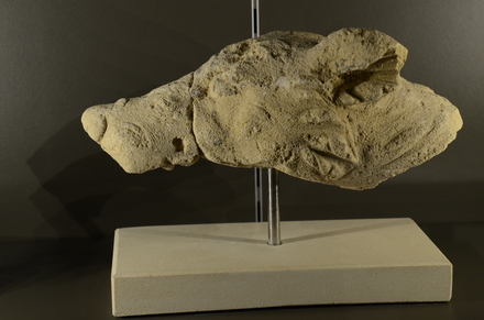 Grand, Sculpture of a dog
