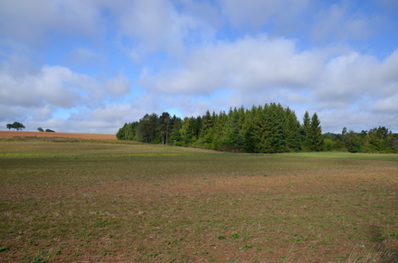 Grand, Surroundings
