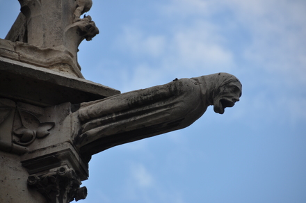 Paris, Gargoyle of the Notre Dame