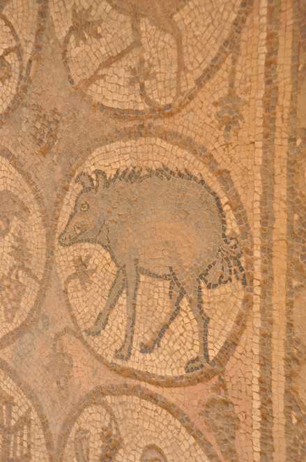 Petra, Byzantine church, Mosaic presenting a boar