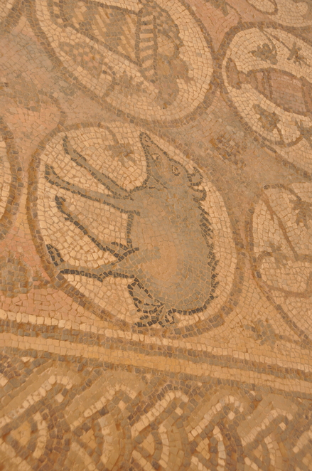 Petra, Byzantine church, Mosaic presenting a boar