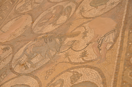 Petra, Byzantine church, Mosaic presenting a dromedary