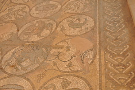 Petra, Byzantine church, Mosaic presenting a dromedary