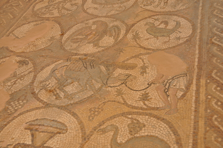 Petra, Byzantine church, Mosaic presenting a dromedary