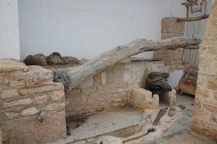 Olive oil press