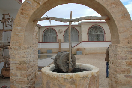 Olive oil press