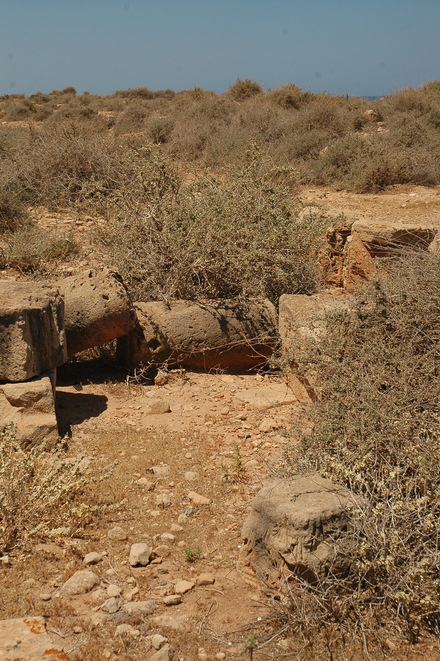 Taucheira-Arsinoe, East Basilica, Column