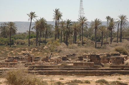 Taucheira-Arsinoe, Gymnasium
