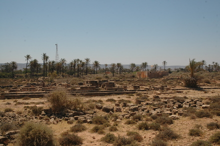 Taucheira-Arsinoe, Gymnasium