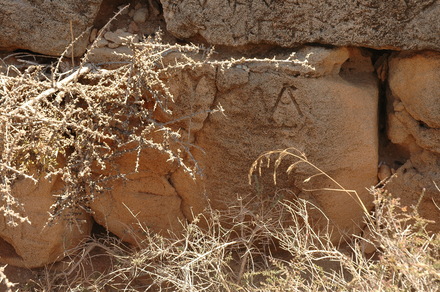 Taucheira-Arsinoe, Gymnasium, Honorific inscription