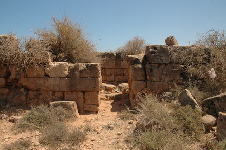 Taucheira-Arsinoe, Gymnasium