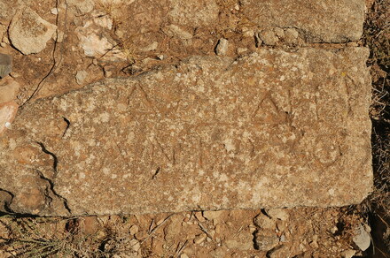 Taucheira-Arsinoe, Gymnasium, Honorific inscription