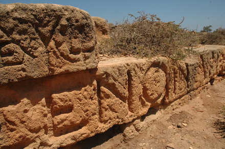 Taucheira-Arsinoe, Gymnasium, Honorific inscription