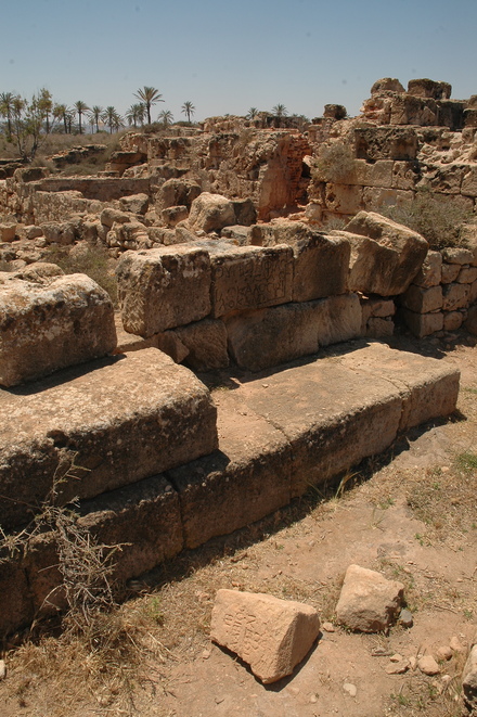 Taucheira-Arsinoe, Gymnasium
