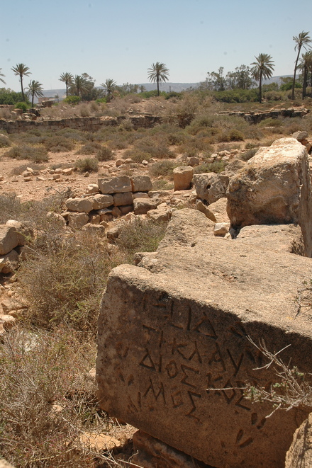 Taucheira-Arsinoe, Gymnasium, Honorific inscription