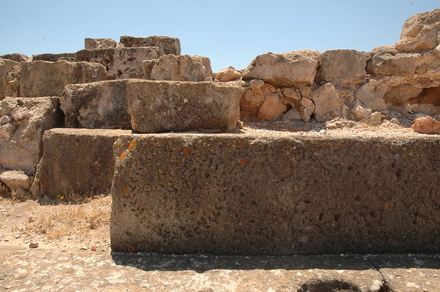 Taucheira-Arsinoe, Gymnasium, Honorific inscription