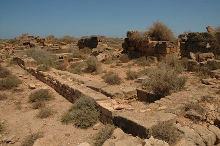 Taucheira-Arsinoe, Gymnasium