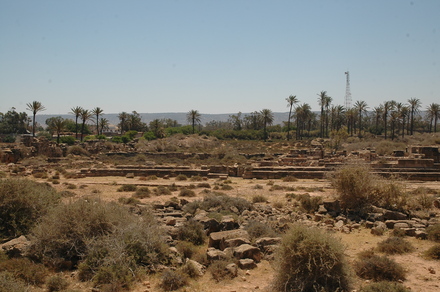 Taucheira-Arsinoe, Gymnasium