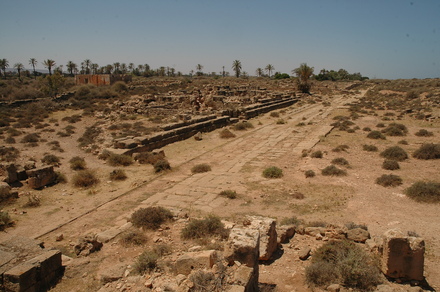 Taucheira-Arsinoe, Road