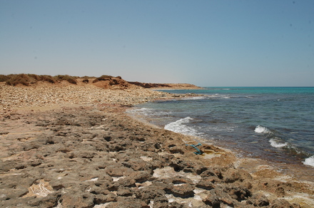 Taucheira, Port