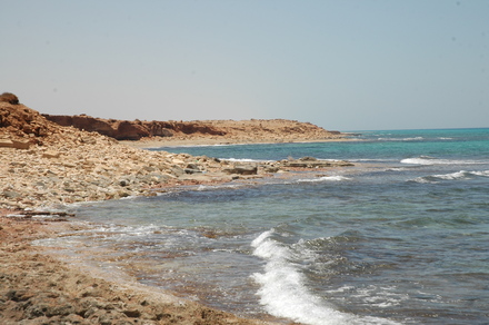 Taucheira, Port
