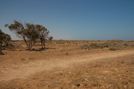Taucheira-Arsinoe, Eastern wall