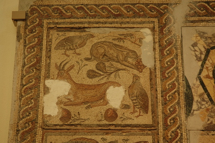 Dar Buc Ammera, Four season mosaic, Animals