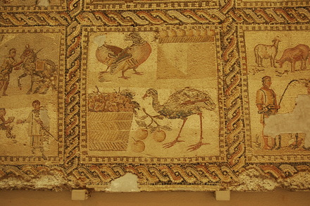 Lepcis Magna, Villa of the Orpheus Mosaic, Birds
