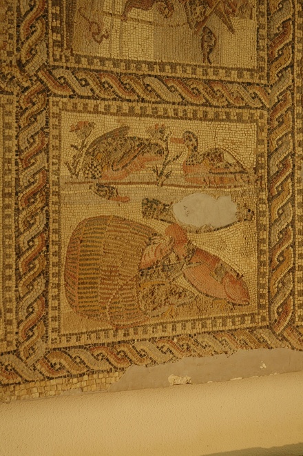 Lepcis Magna, Villa of the Orpheus Mosaic, Fish