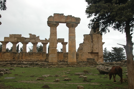 Cyrene, Temple of Zeus