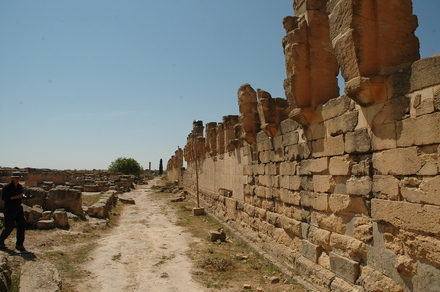 Cyrene, Uptown, Battus Street