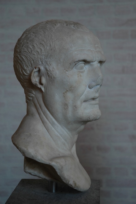 Head of Gaius Marius