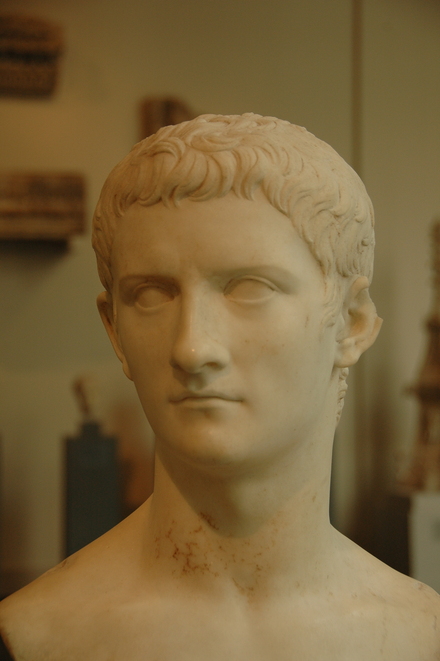 Head of emperor Caligula