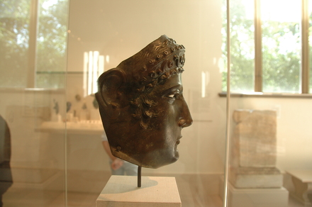 Bronze cavalry sports mask