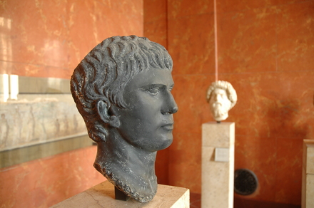Head of Agrippa postumus