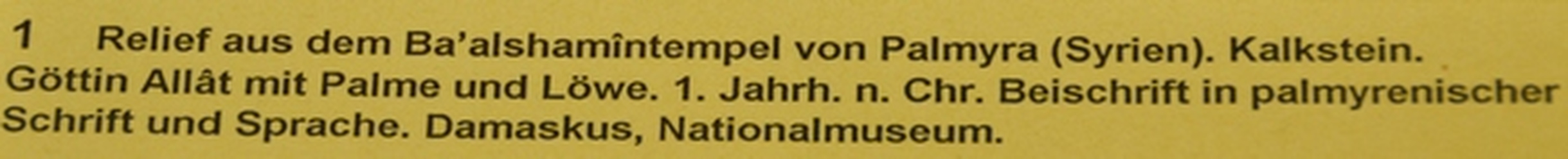 Palmyra, Baalshamem, relief with sungod Malakbel on the griffin car and founder Malku