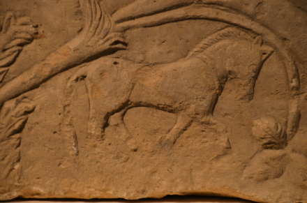 Utica, Detail of monumental border with horse