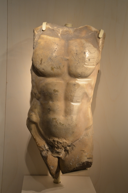 Leptis parva, Torso of an athlete