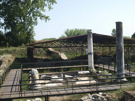 Dion, The Villa of Dionysus