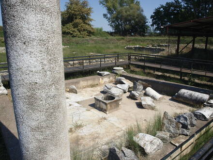 Dion, The Villa of Dionysus