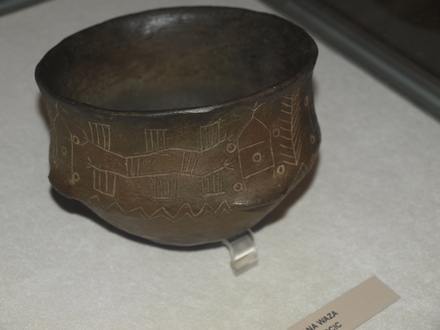 Copy of Bronocice Pot