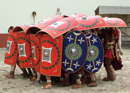 Archeon testudo