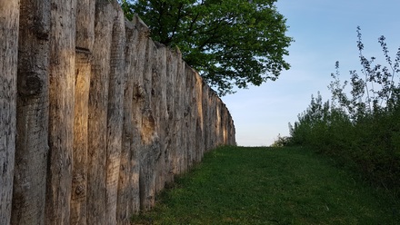 Palisade