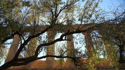 Temple of Juno (Agrigento)