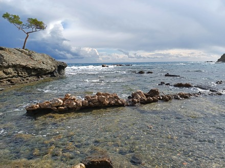 Central harbour