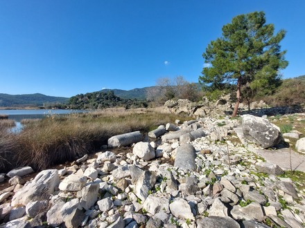 harbour remains