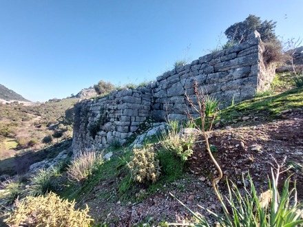 North harbour wall